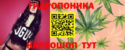 герыч Будённовск