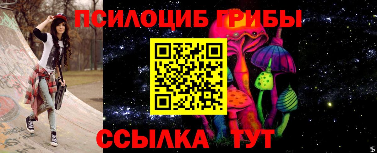 Галлюциногенные грибы Psilocybine cubensis Чита